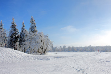 Winter im Osterzgebirge 51