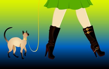 beautiful womanish legs in shoes with cat