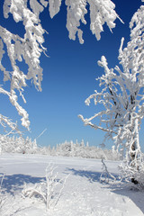 Winter im Osterzgebirge 52