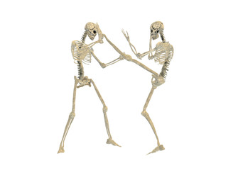 skeleton fighting