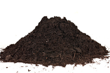 soil