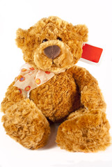 Brown teddy