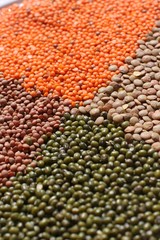 Naklejka premium lentilles dans un plat