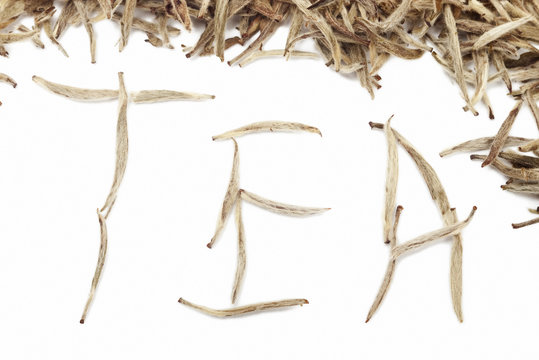 Fototapeta Tea word from buds with out of focus green twisted leaves