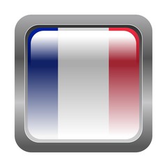metallic button in colors of France