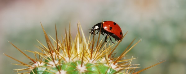 Walking through dangerous situation