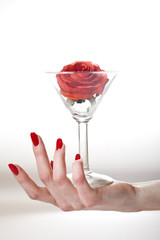 Beautiful hand with perfect red manicure holding martini glass