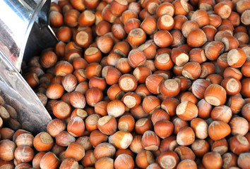 Hazelnuts and Scoop on the Market