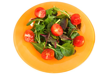 gren salad