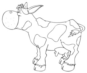 Kuh, Rind, Milch, Bauernhof, Farm, glücklich, Freiland