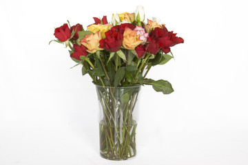 Bouquet de rosas africanas sobre fondo blanco