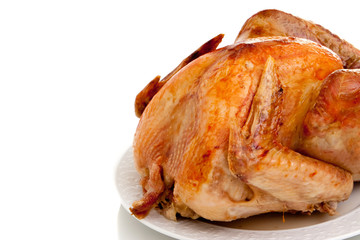 Roasted turkey on white background