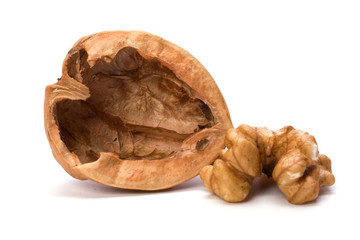 walnut