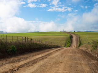 Estrada deserta no campo