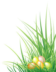 Fototapeta premium Easter background with the eggs and grass