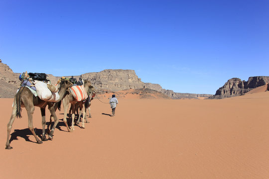 Libye, randonnée chamelière dans l'Akakus