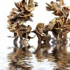 collier fleurs sèches frangipanier souvenirs vacances îles