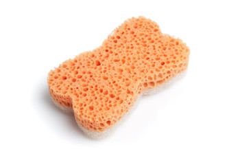 Sponge
