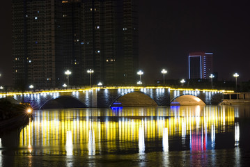Obraz premium Bridge with Neon Light at night