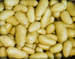 new potatoes close-up