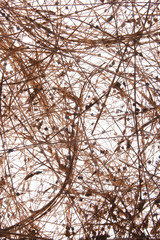 sisal background.
