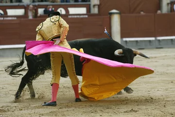 Printed roller blinds Bullfighting toros