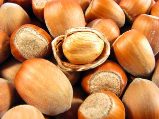 Wood nuts