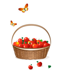 basket of apples