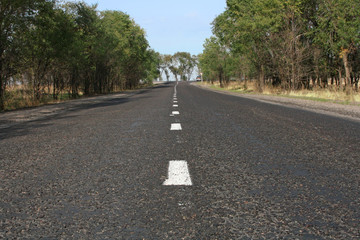 Naklejka premium road with dividing line