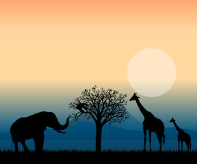 african landscape at sunset vector