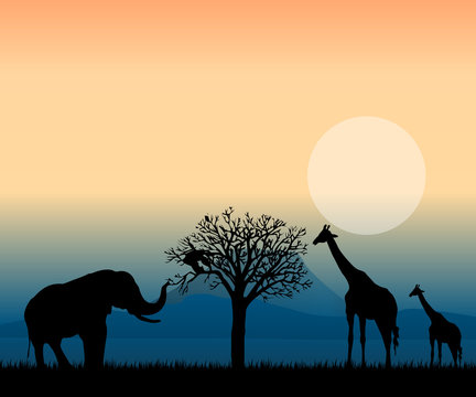 African Landscape At Sunset Vector