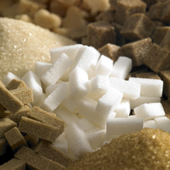 sugar still life
