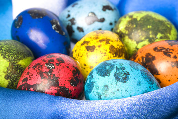 Colored Quail Eggs
