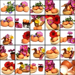 illustration de p&acirc;ques