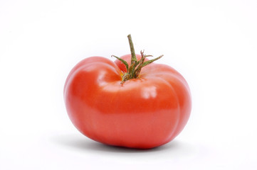 pomodoro costoluto solanacea