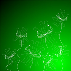 Naklejka premium floral background