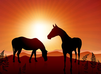 Fototapeta na wymiar Horses grazing on sunset background