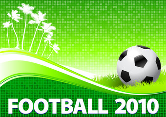 2010 Soccer Ball om Tropical Green Background