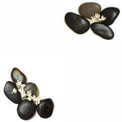 Fototapeta na wymiar black pebble for hot stones spa treatment and flowers on white b