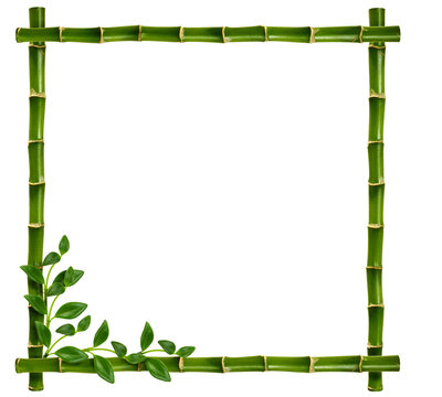 Frame