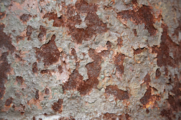 Grunge rusty metal texture background