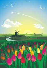Lever du soleil sur la vallée avec tulipes et moulin