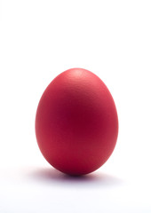 red easter egg isolated on white
