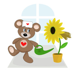 Teddy bear are doctor.