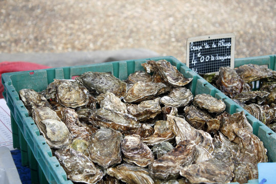 vente d'hu&icirc;tres