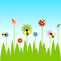 Funny bee and camomiles