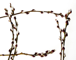 spring frame