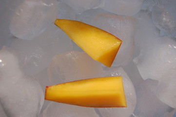 Mango na lodzie