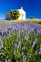 Fototapeta na wymiar Kaplica z lawendowego pola, Plateau Valensole, Provence, Francja