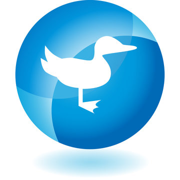 Duck Transparent Blue Icon